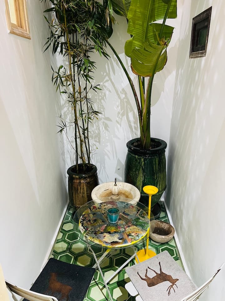 Courtyard Table and Plant Decor
